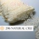 Anterior