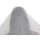 Anterior
