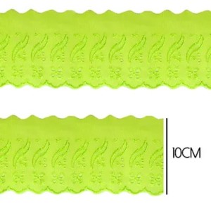 BORDADO CTL035 225 LIMAO 10,0CM 13,7M